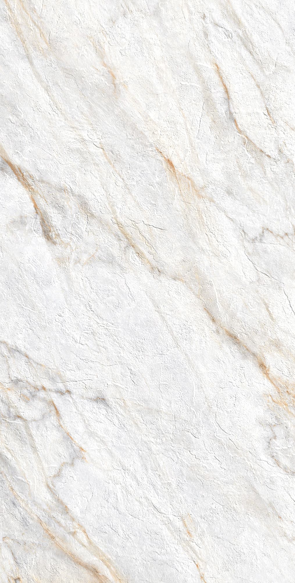 LAZIO PEAR — фото 4