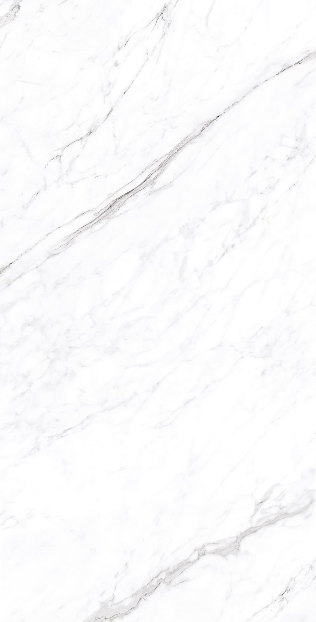 CORALINA WHITE — фото 5