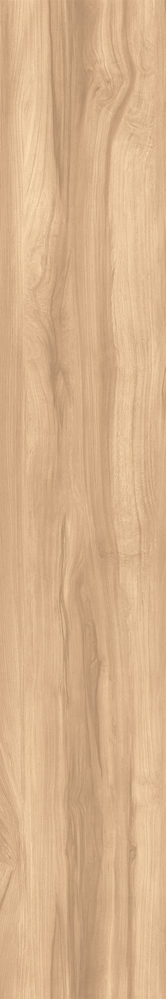 FOSSIL WOOD BRICH — фото 12