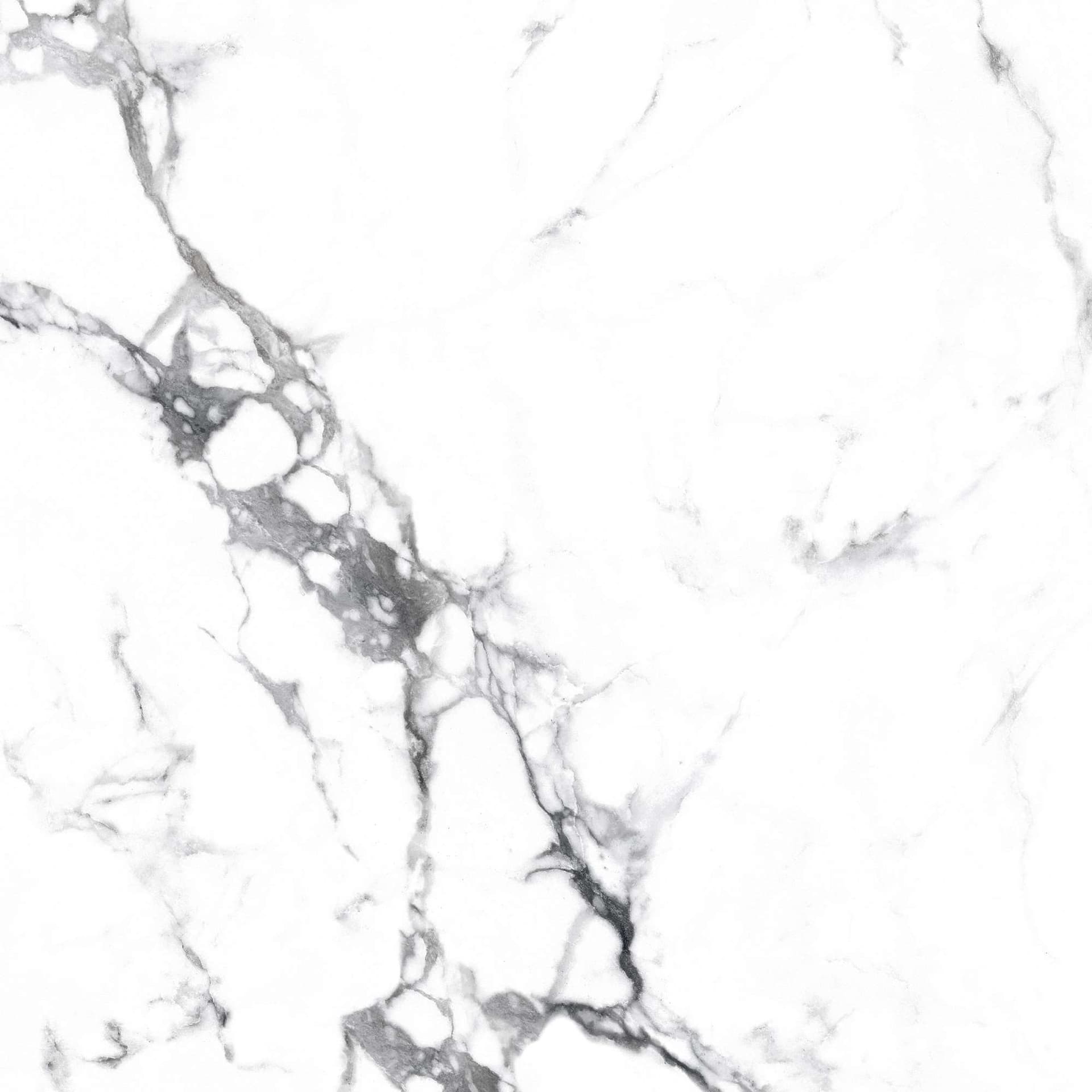 BORGHINI SILVER — фото 7