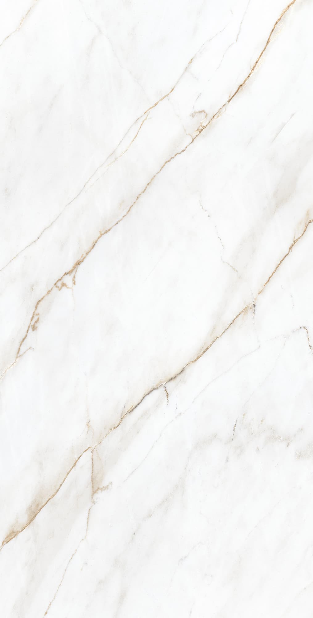 SELVA GOLD — фото 10