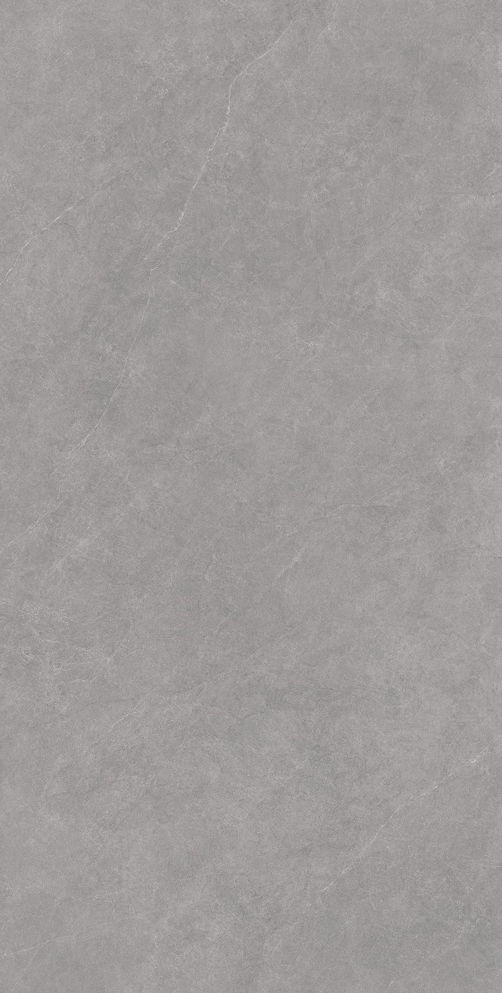 LISTELLO GRIS — фото 6