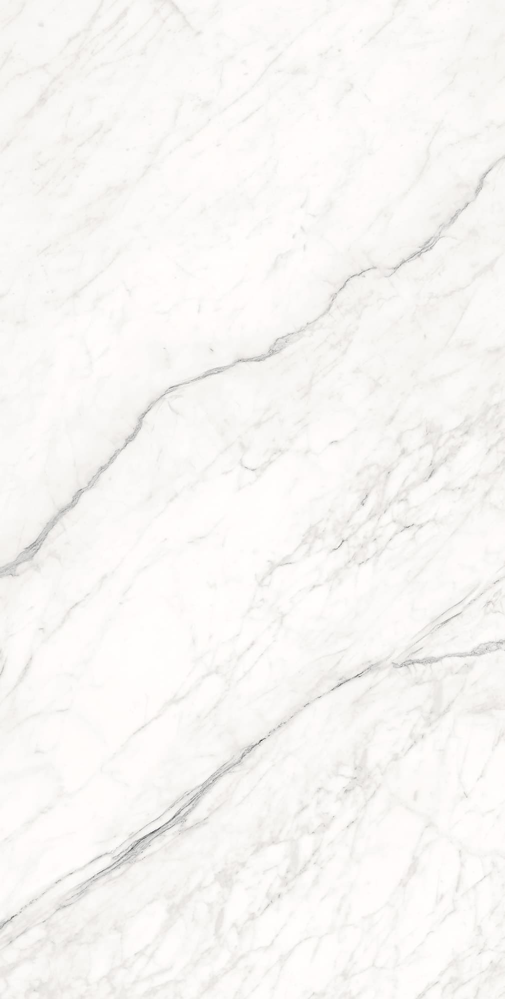 MONTESA WHITE — фото 6