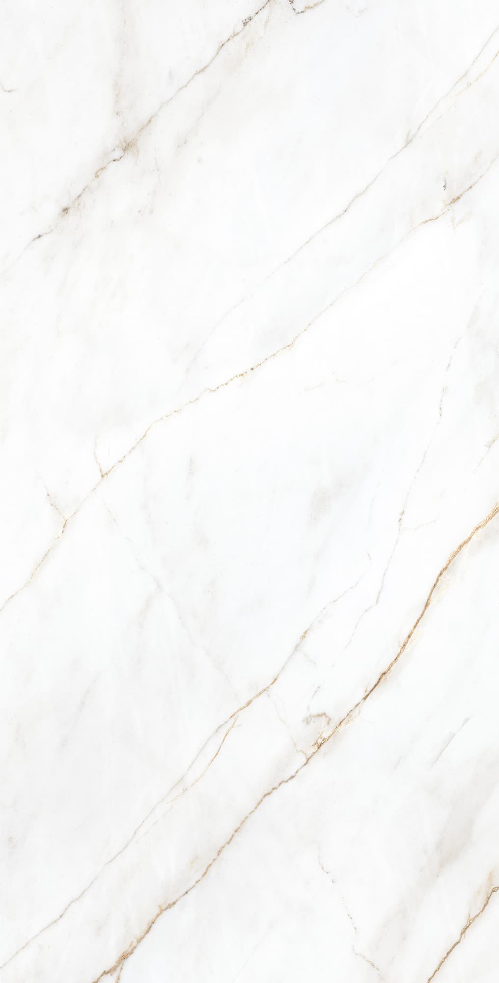 SELVA GOLD — фото 9