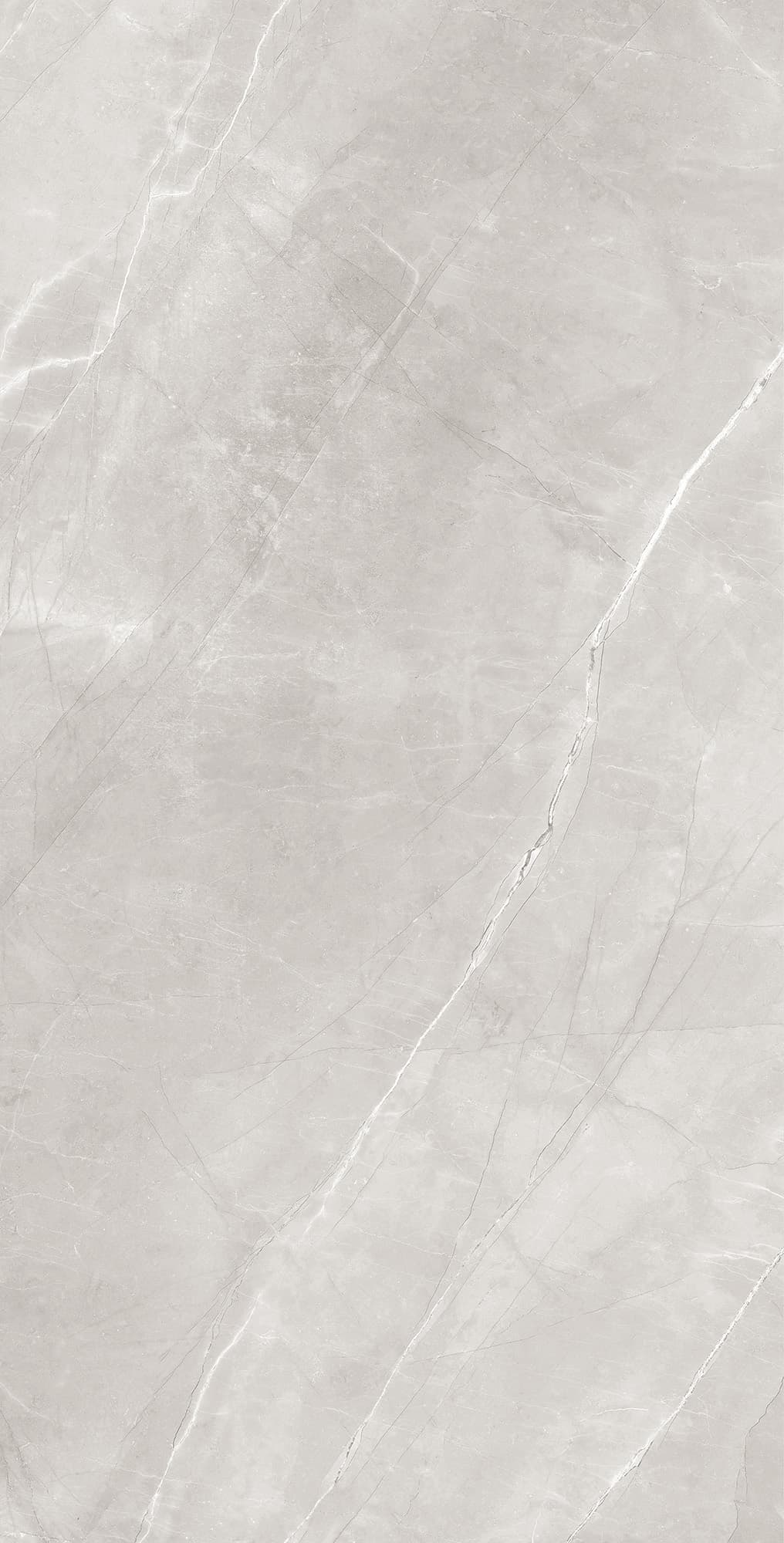 ARMANI SILVER — фото 6