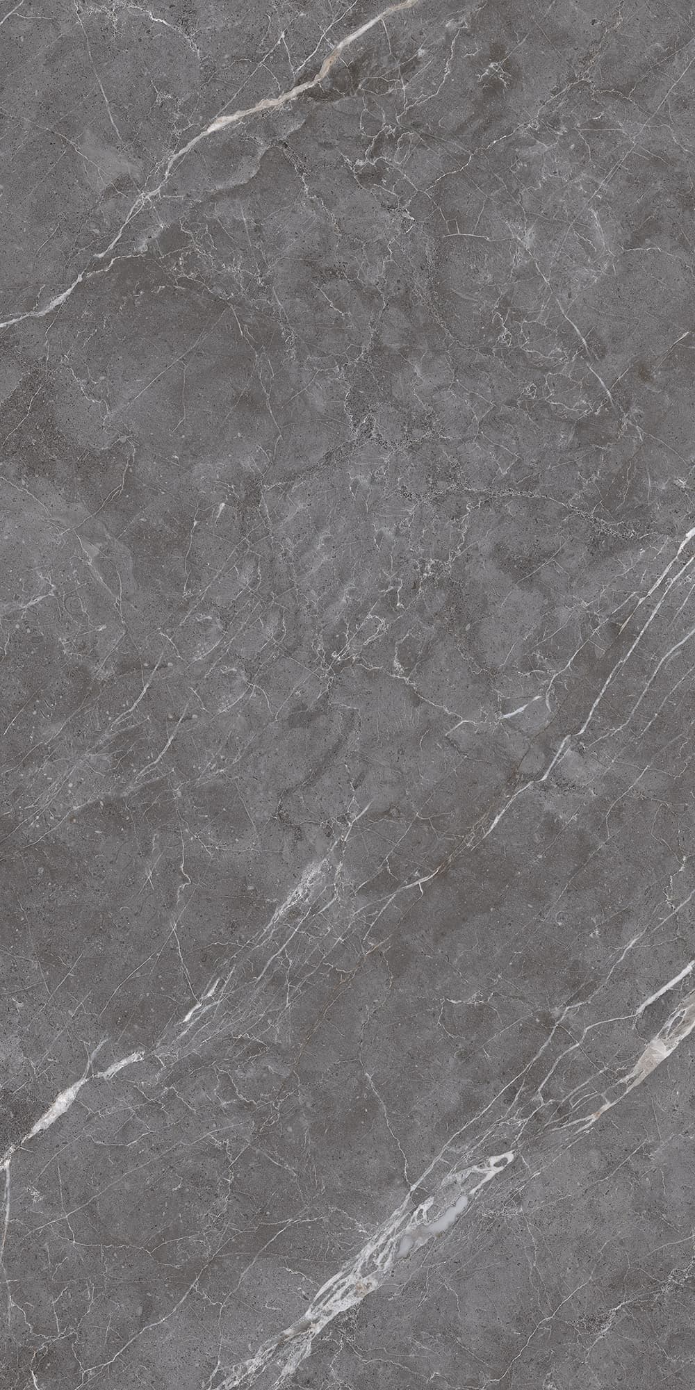 ESPERIA GRIGIO LAPPATO — фото 8