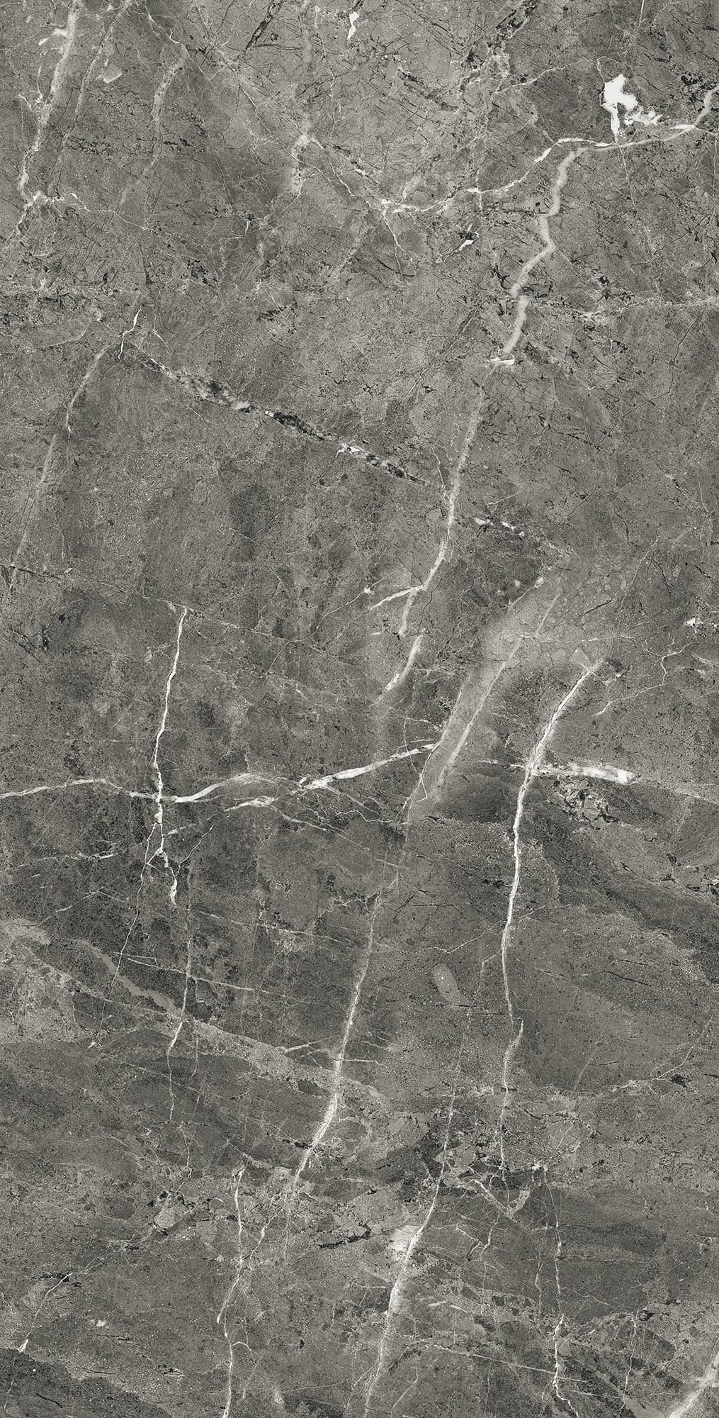 FLORENCIA GREY — фото 6