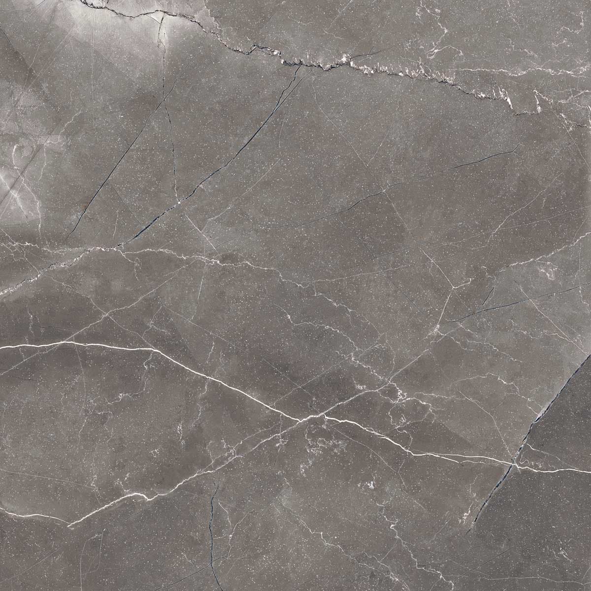 PULPIS NERO — фото 9