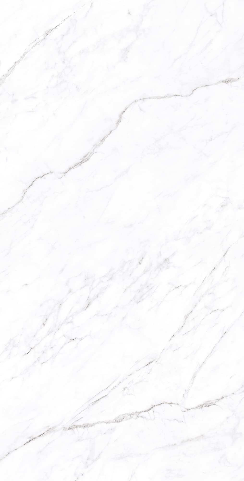 CORALINA WHITE — фото 4