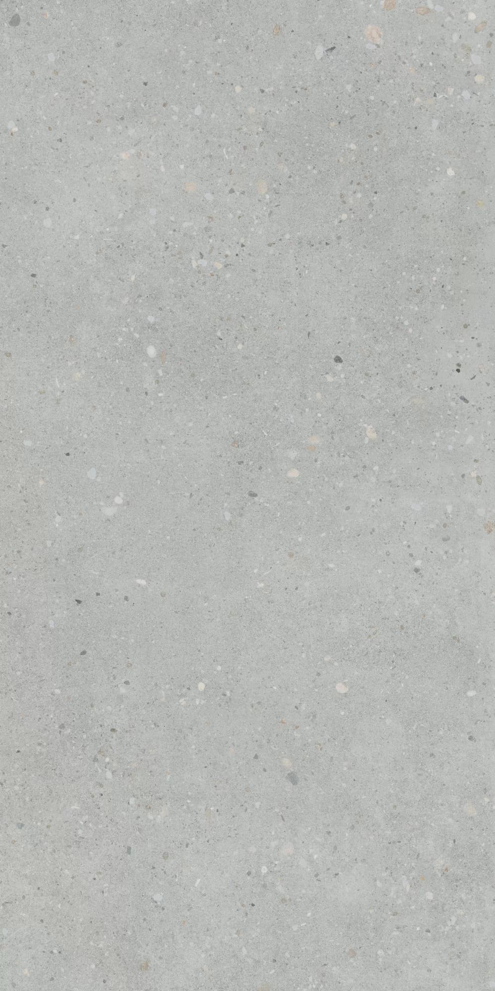 Керамогранит K947893R0001VTER Серый Матовый R10A Ректификат 60x120 — фото 5