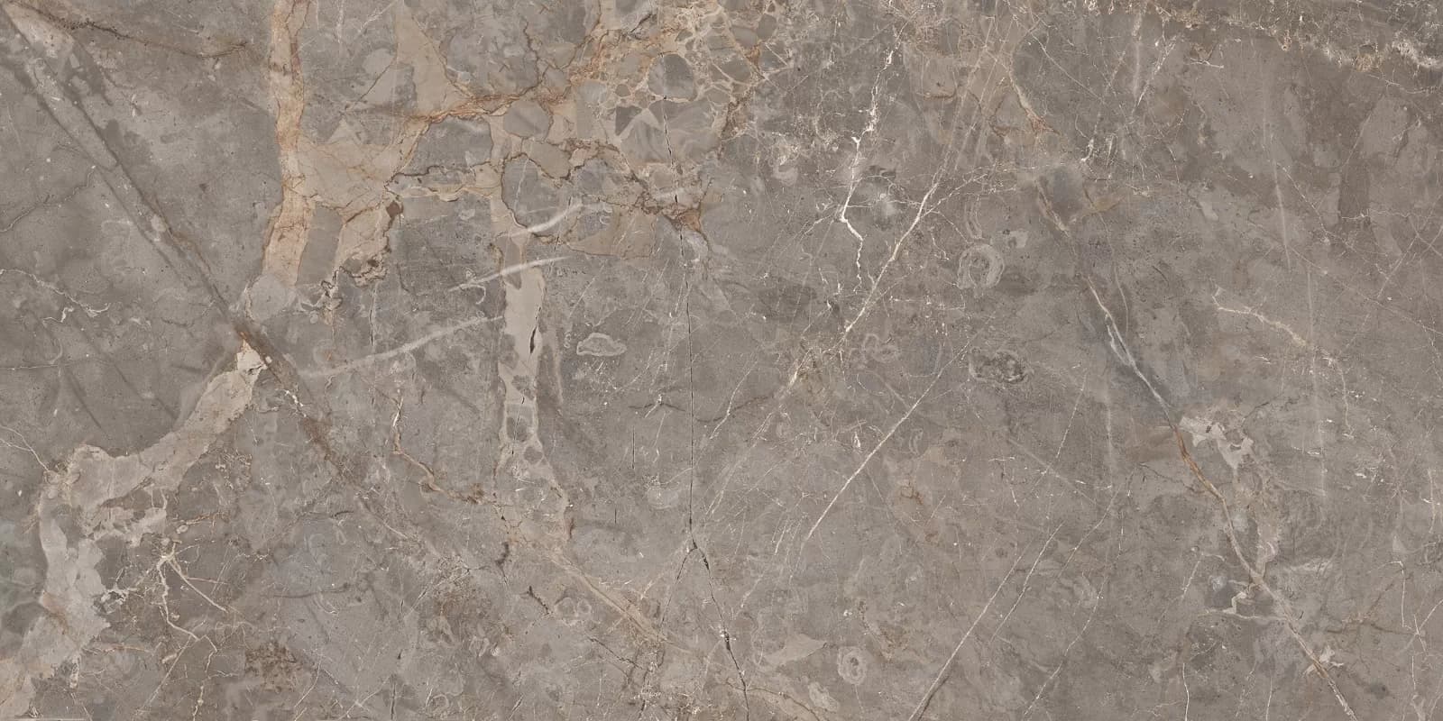 Керамогранит Miltonia Grey 60x120 — фото 2