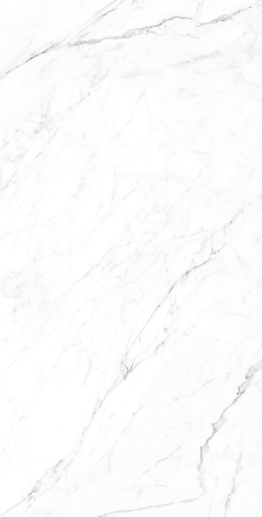 CORALINA WHITE — фото 7