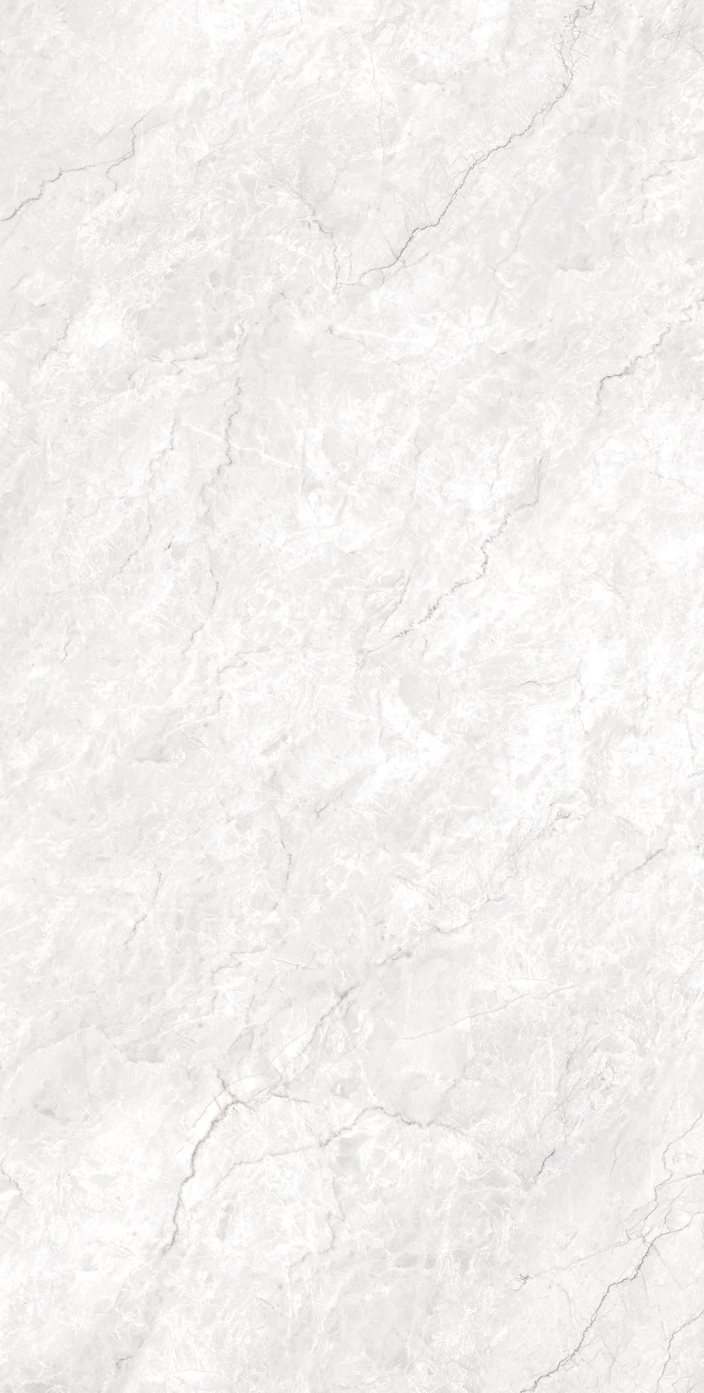 FERROL WHITE — фото 5