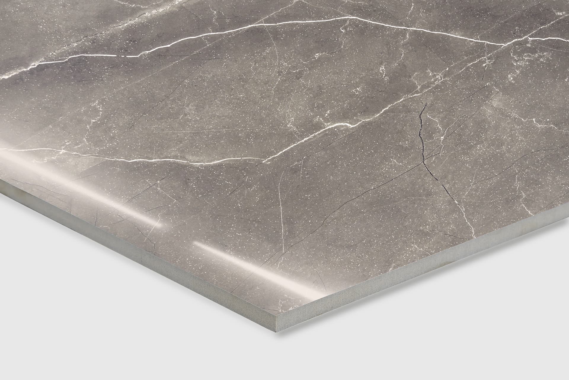 PULPIS NERO — фото 15