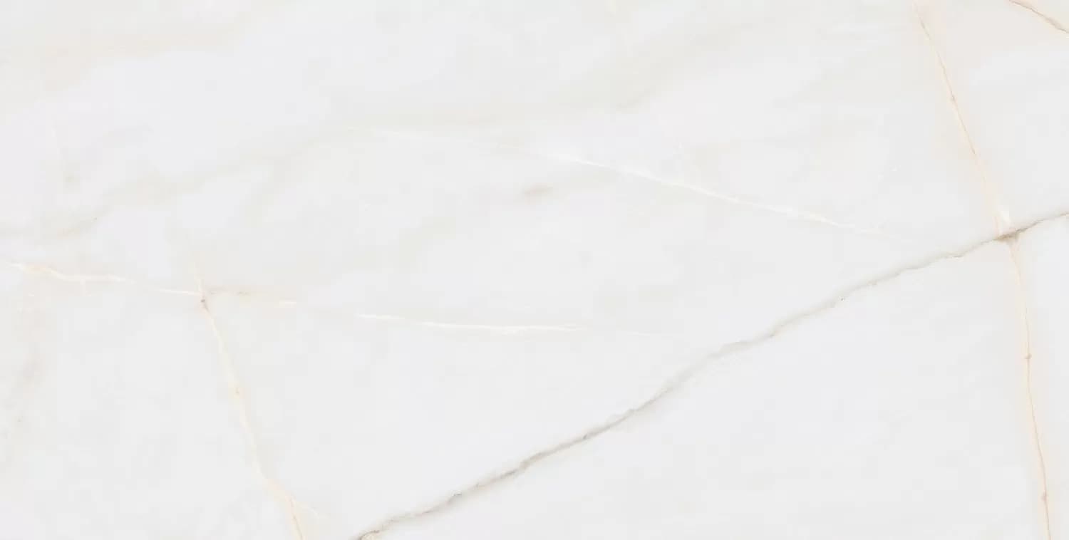 Керамогранит Essenza PW R 60x120 — фото 2