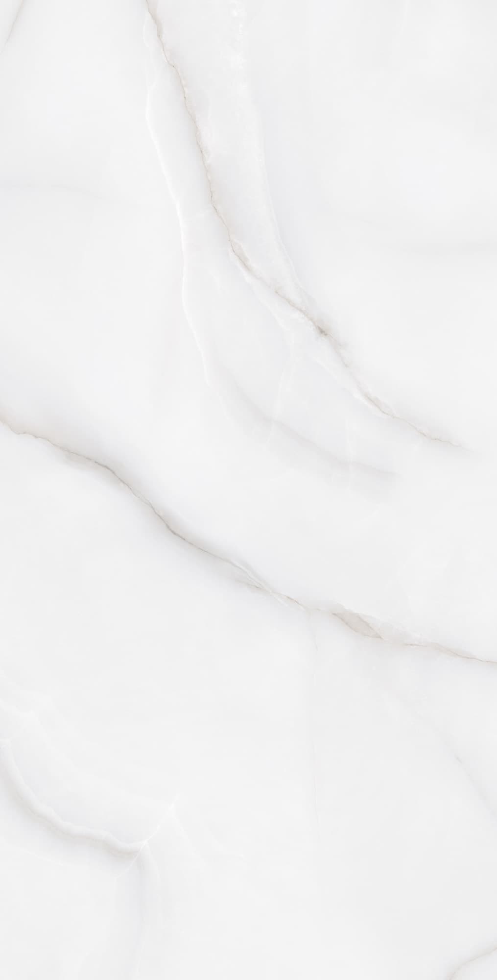 FEATHER ONYX — фото 4