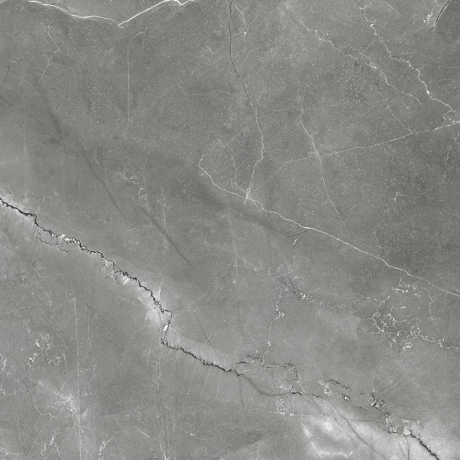 PULPIS NERO — фото 13