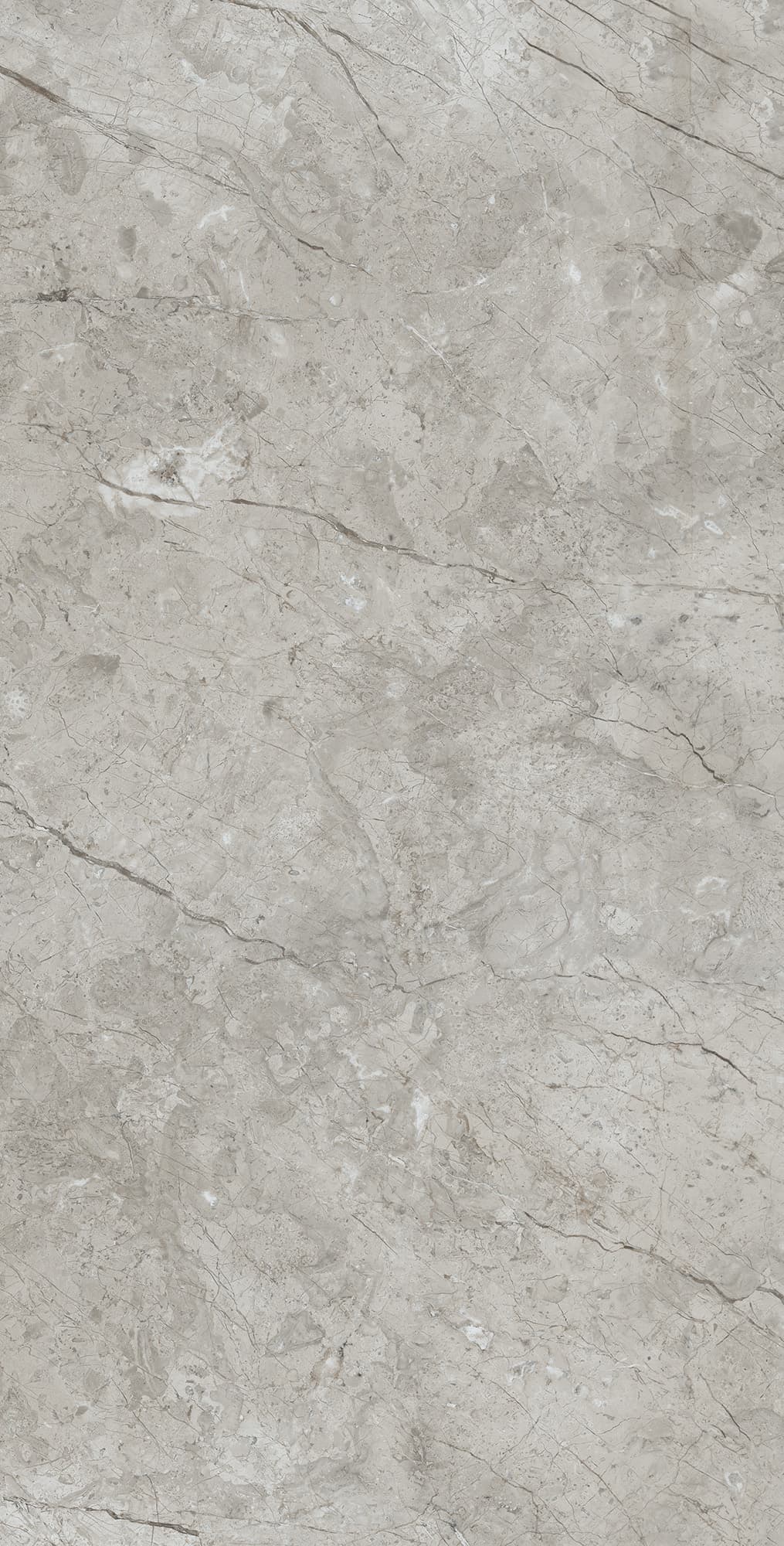 MARCUS GRACIA — фото 4