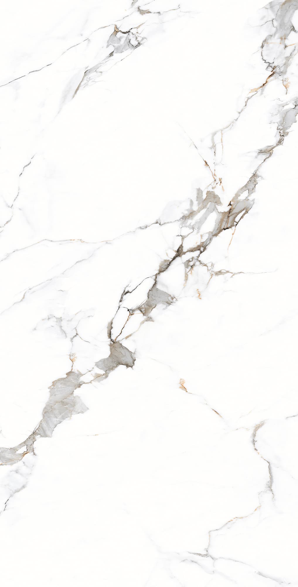 GALAXY STATUARIO — фото 5