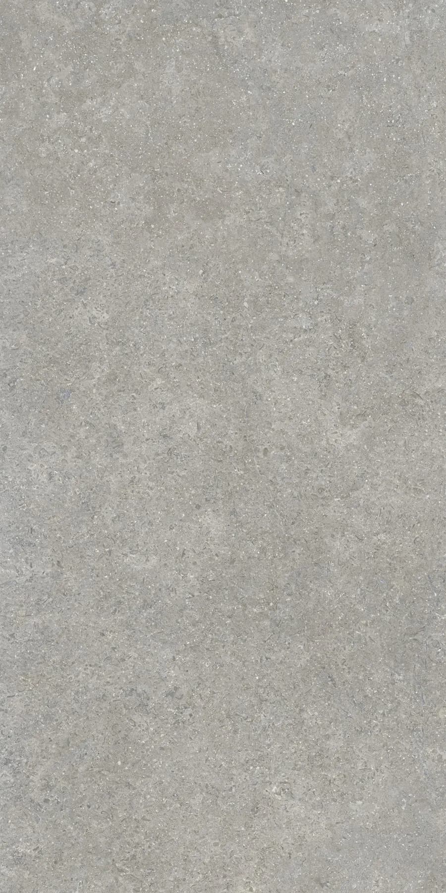 Керамогранит K948634R0001VTER SandStone Серый Матовый R10A Ректификат 60х120 — фото 2