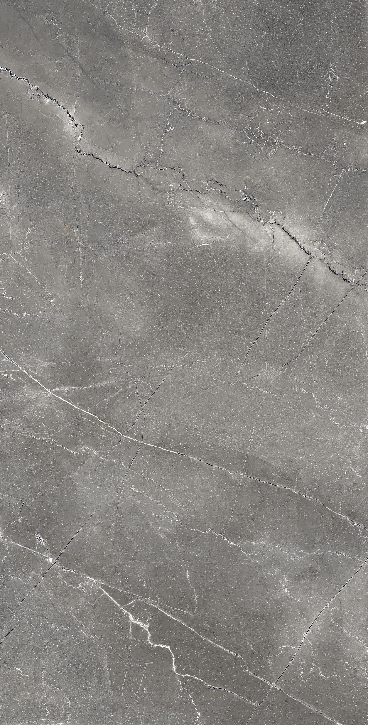 PULPIS NERO LAPPATO — фото 8