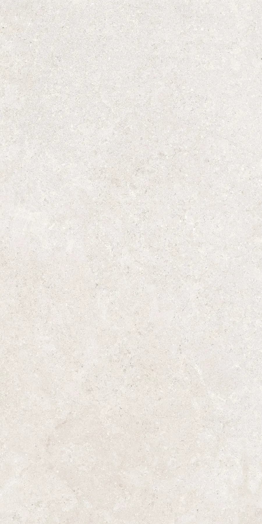 Керамогранит K948597R0001VTER SandStone Белый Матовый R10A Ректификат 60х120 — фото 7