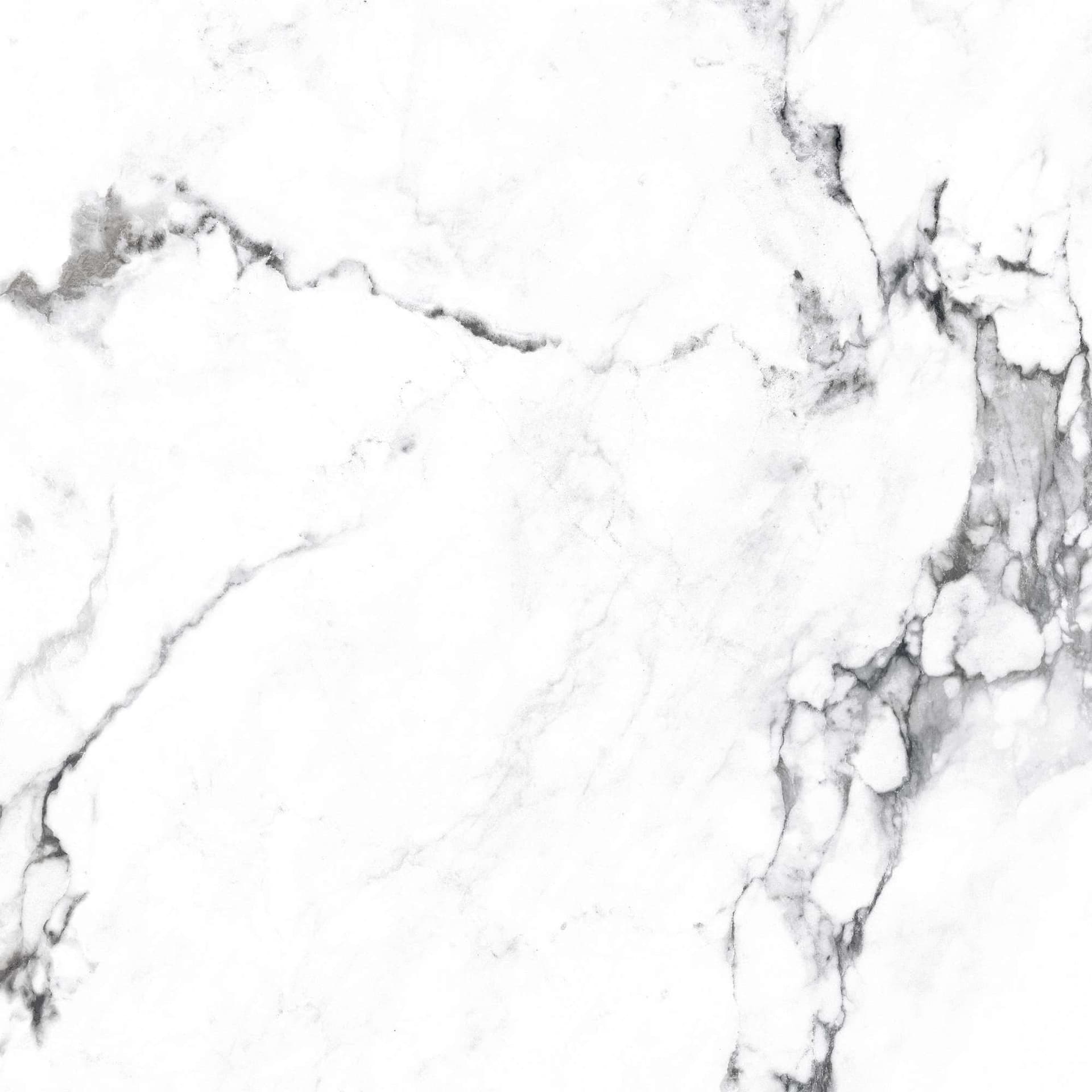 BORGHINI SILVER — фото 14