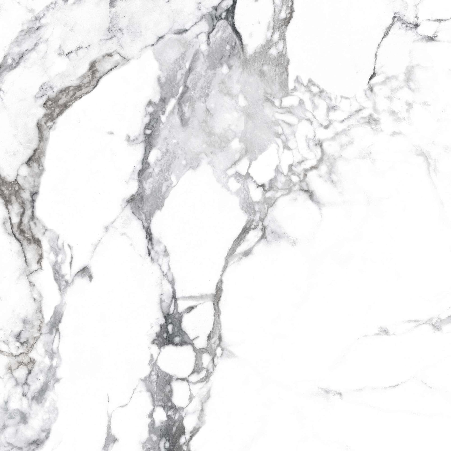 BORGHINI SILVER — фото 9