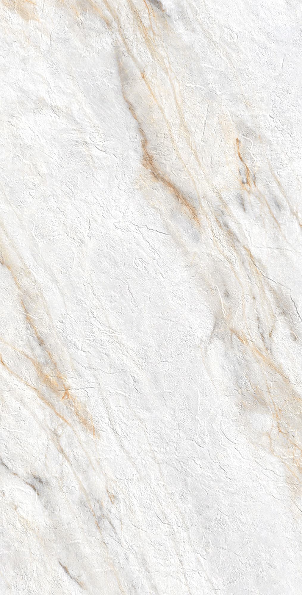 LAZIO PEAR — фото 7