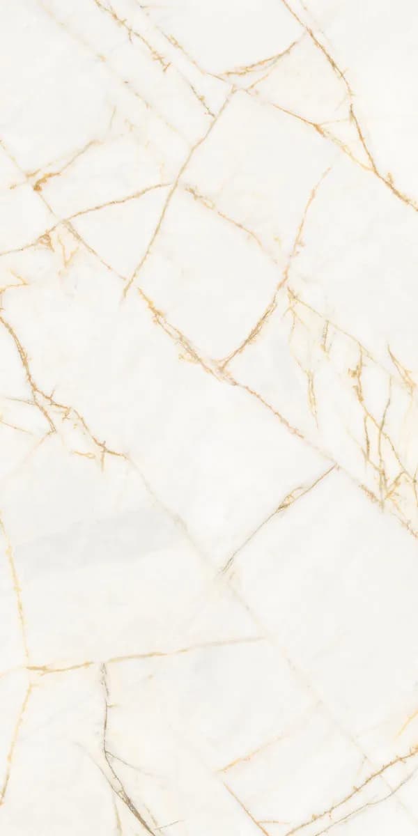 Керамогранит PF60017518 Supreme Hedonism Golden Spider Nat R 60x120 — фото 3