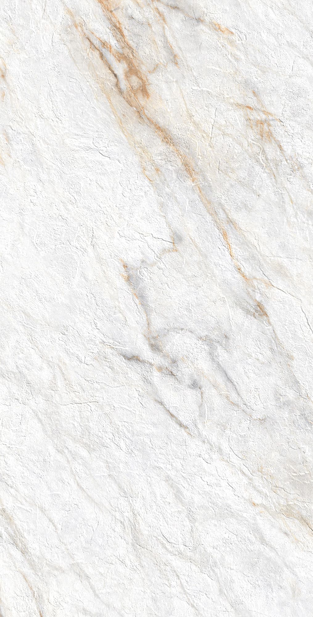 LAZIO PEAR — фото 6