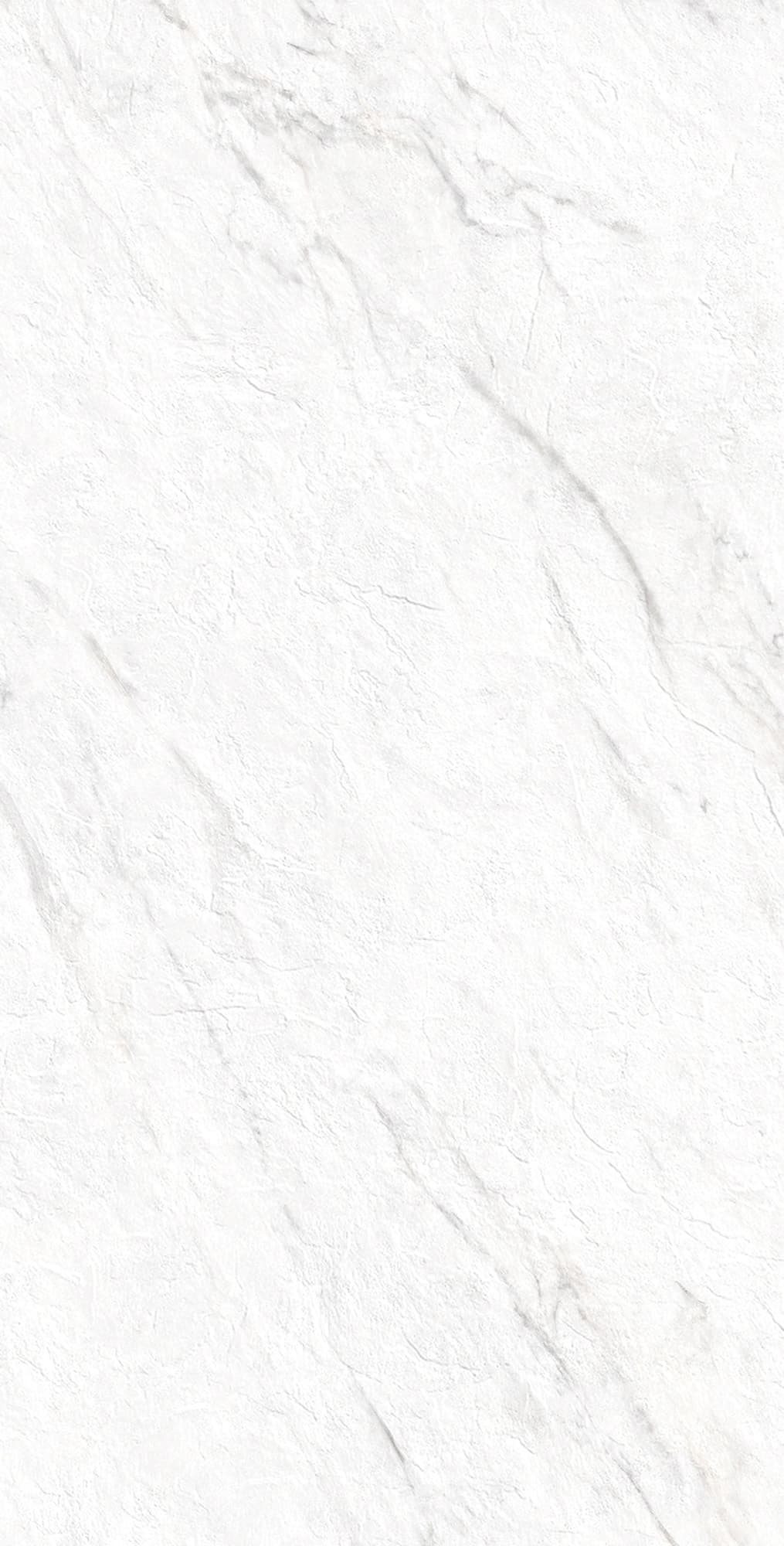 LAZIO BIANCO — фото 7