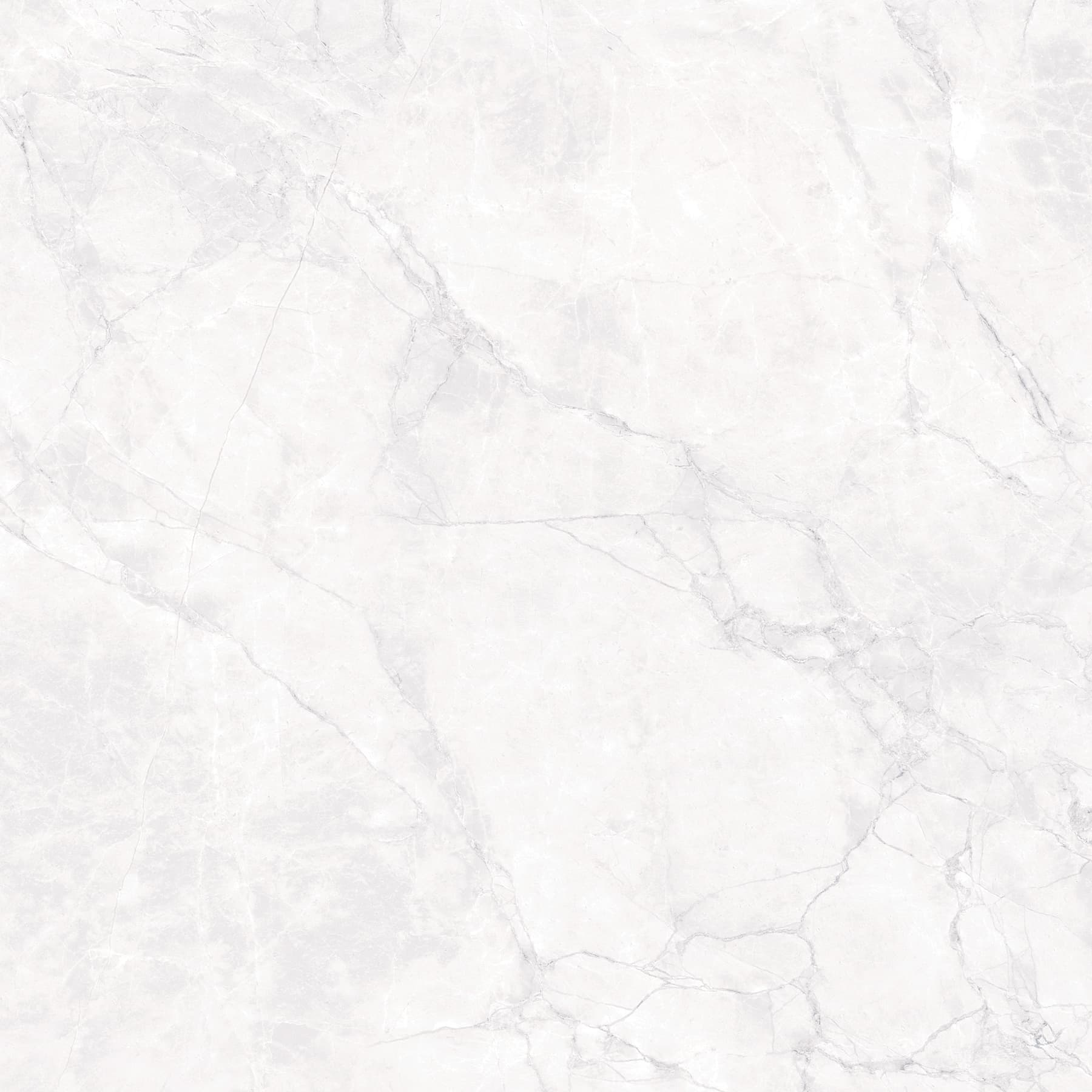 ARCTIC WHITE — фото 12