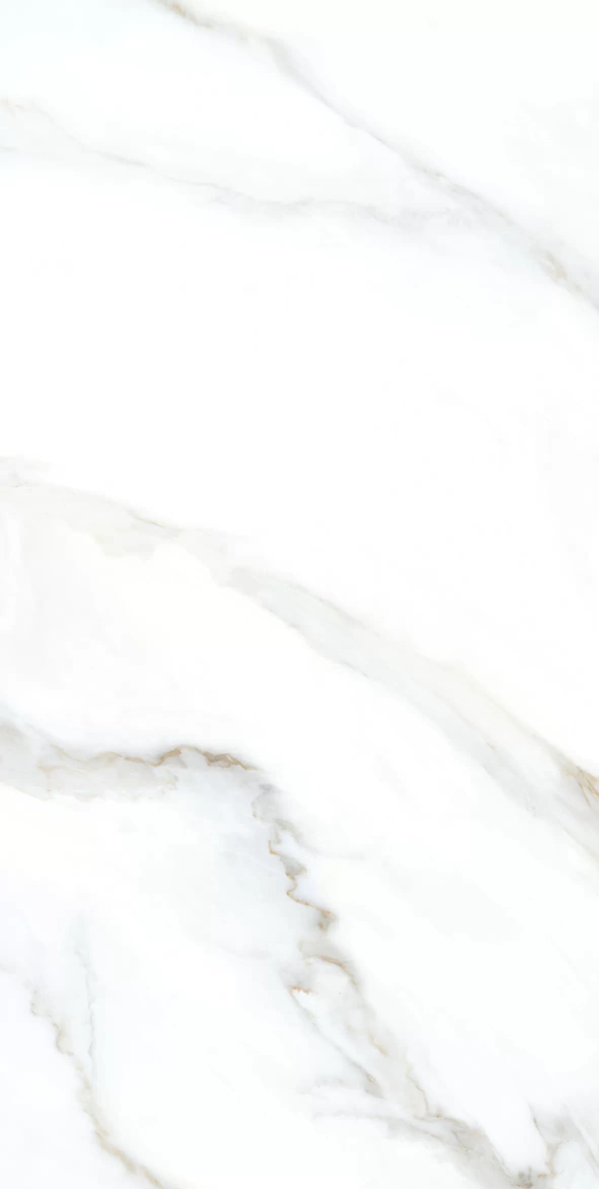 Керамогранит Clear White Grit Granula 60x120 — фото 7