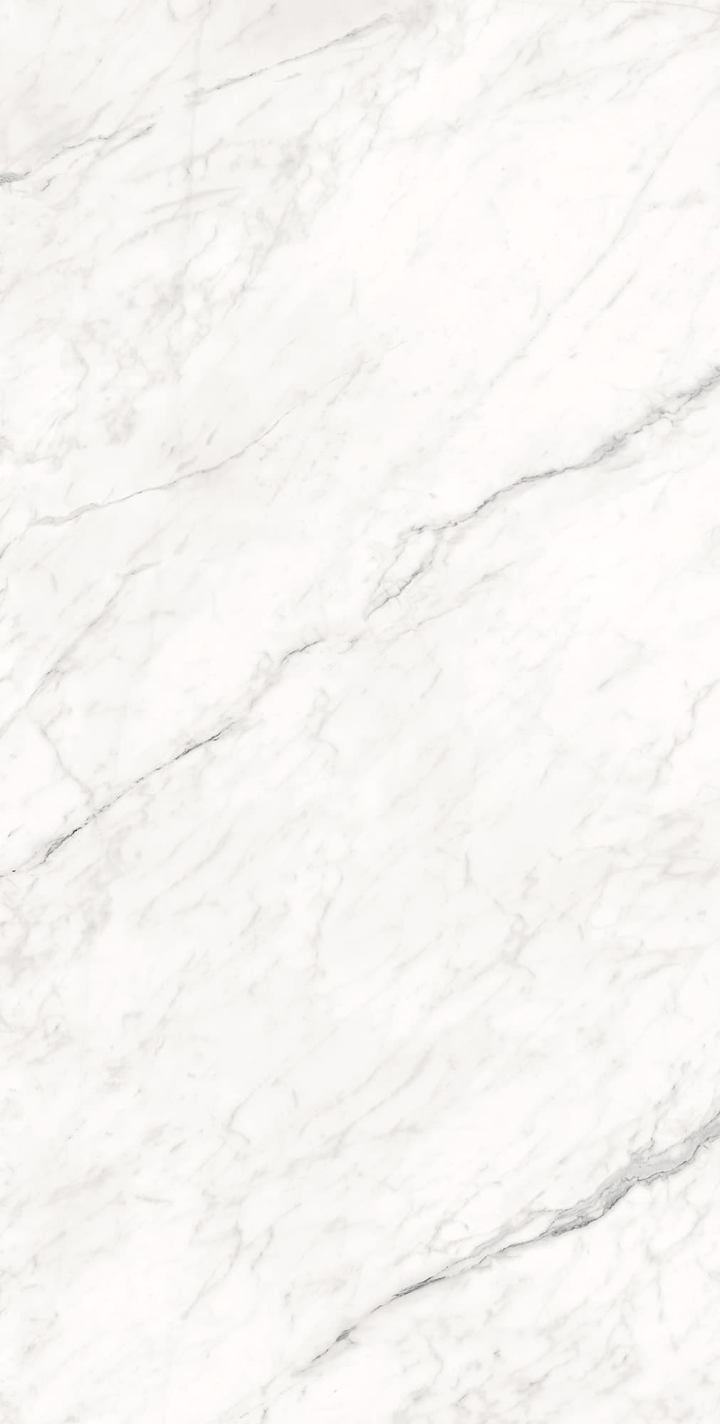 MONTESA WHITE — фото 8