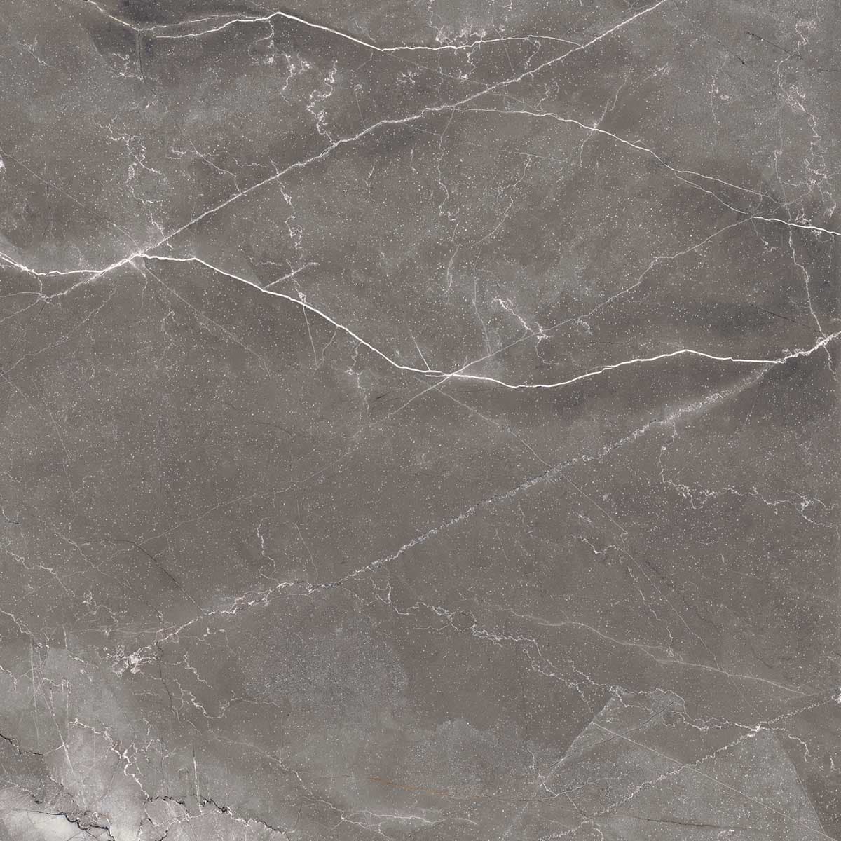 PULPIS NERO — фото 7