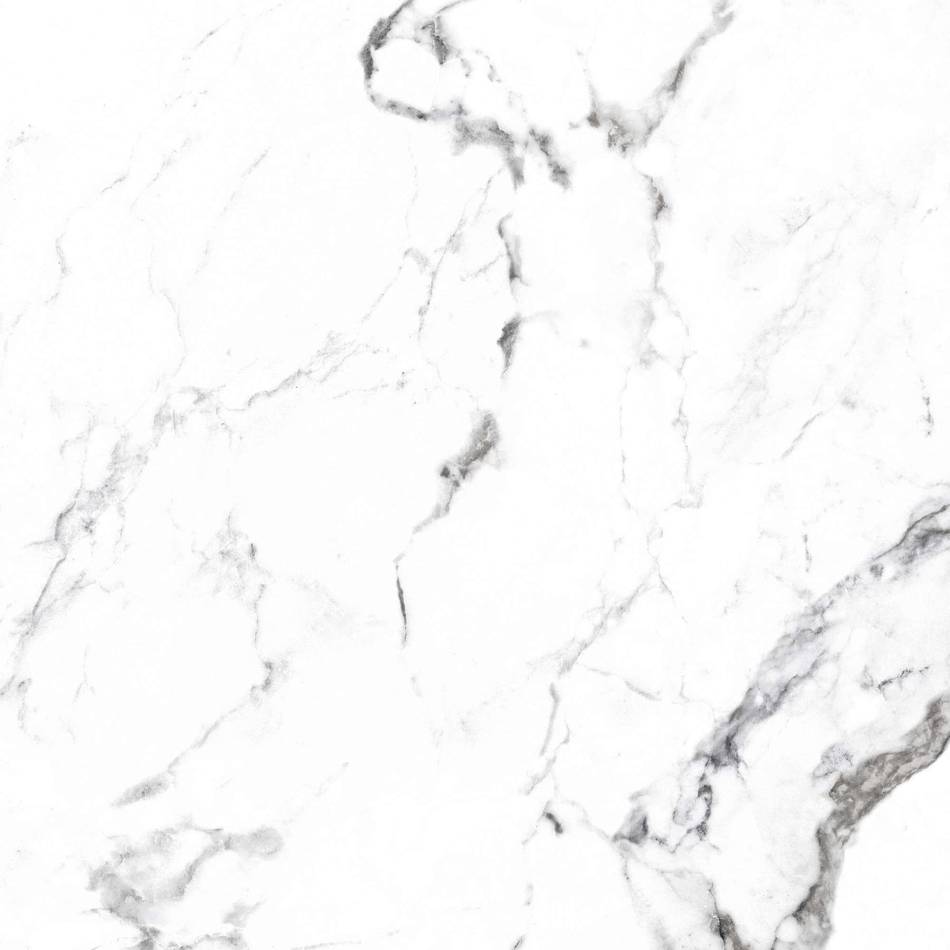 BORGHINI SILVER — фото 22