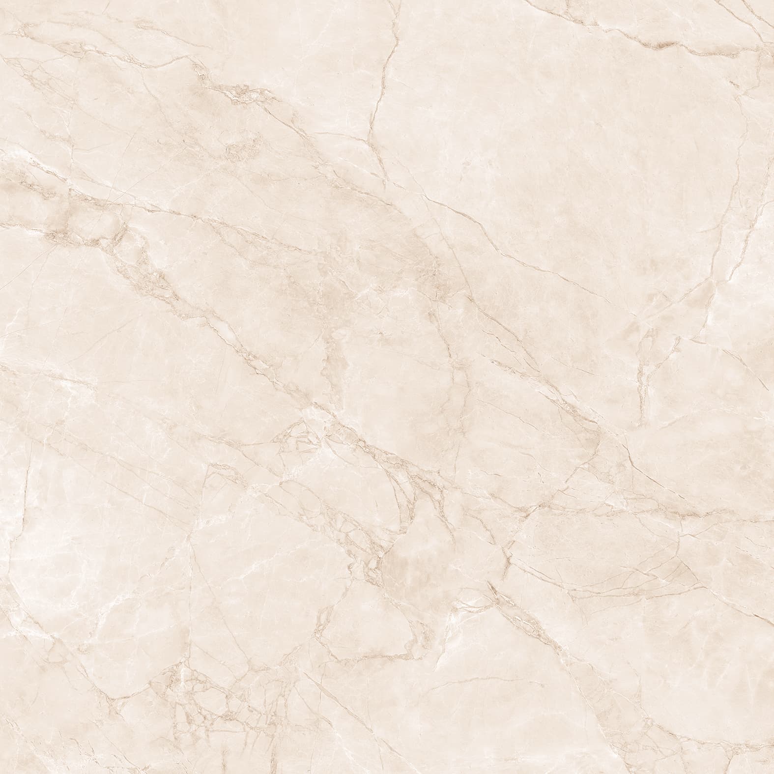 ARCTIC PEARL — фото 10