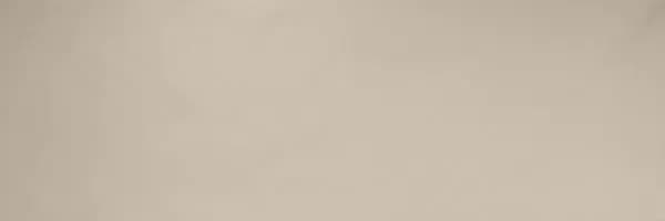 Плитка Bone Ret. 30x90 — фото 2