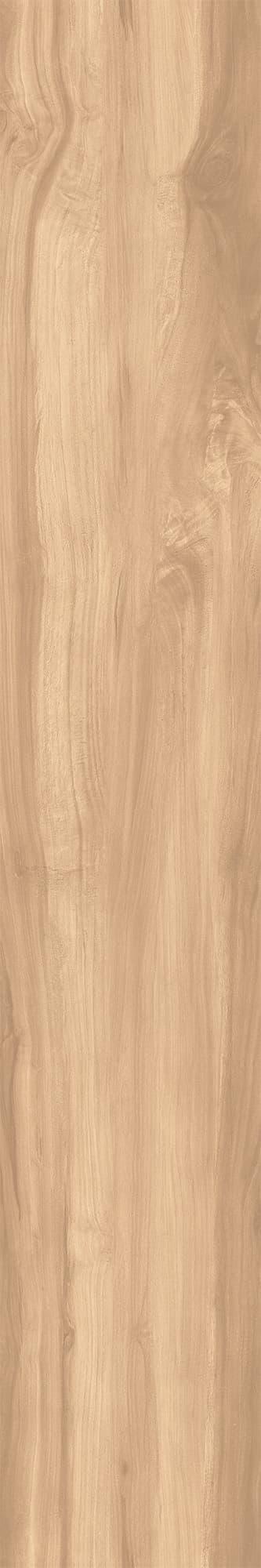 FOSSIL WOOD BRICH — фото 8