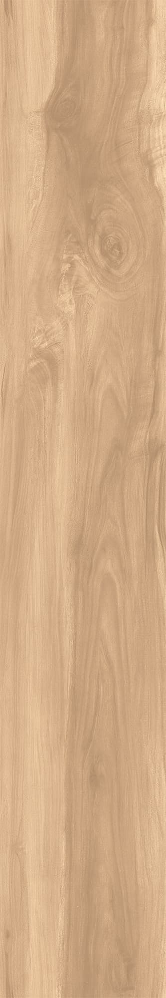 FOSSIL WOOD BRICH — фото 11