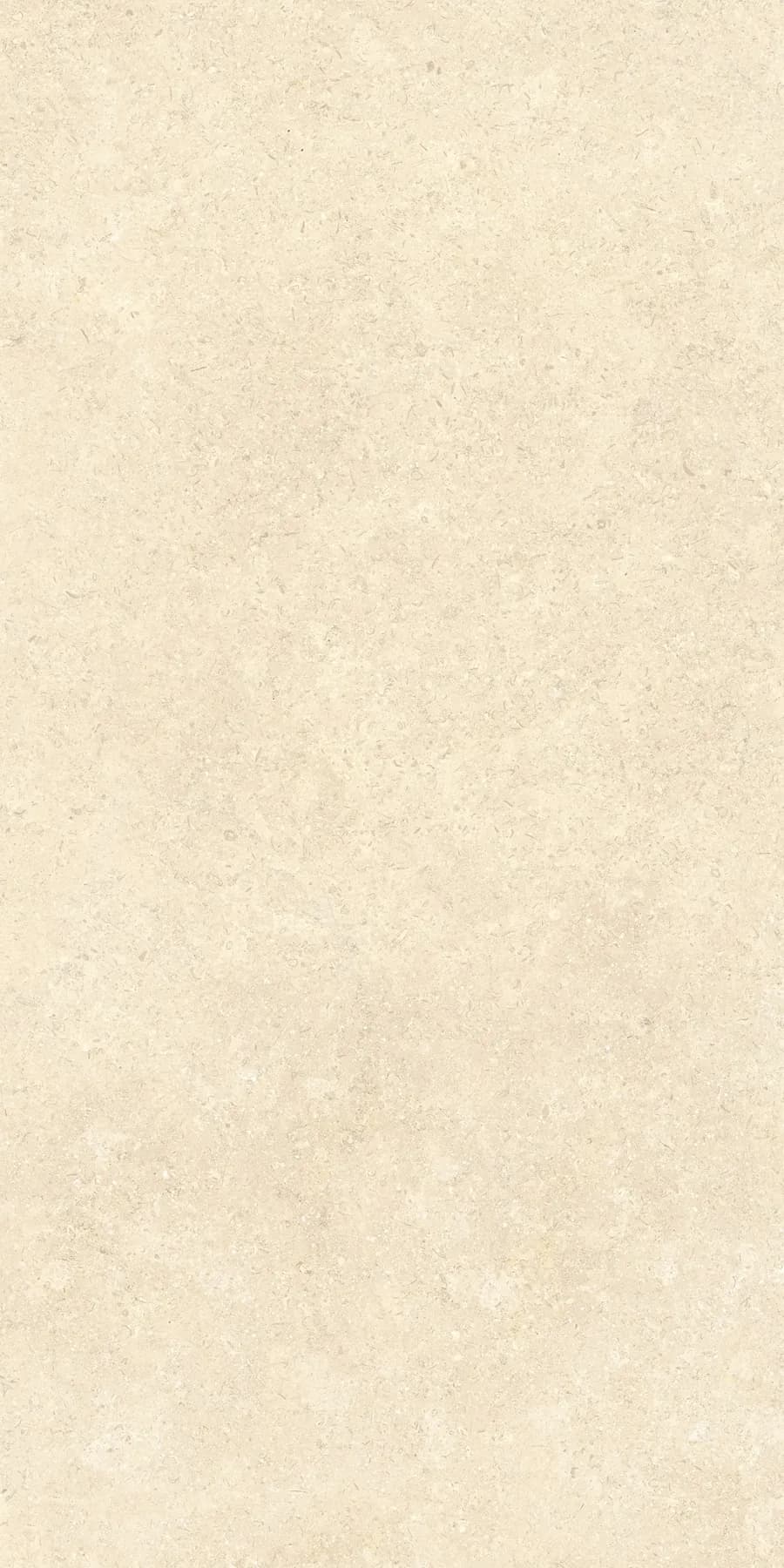 Керамогранит K948598R0001VTER SandStone Песочный Матовый R10A Ректификат 60х120 — фото 5