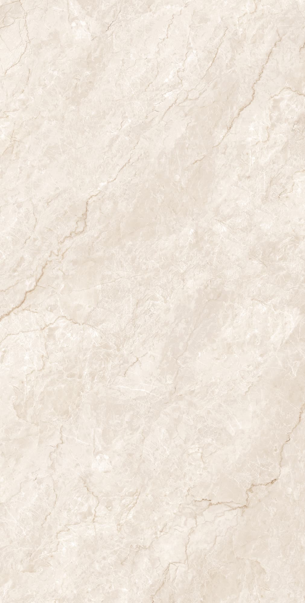 FERROL PEARL — фото 4