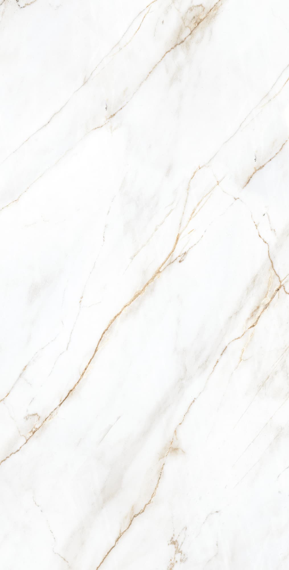 SELVA GOLD — фото 6