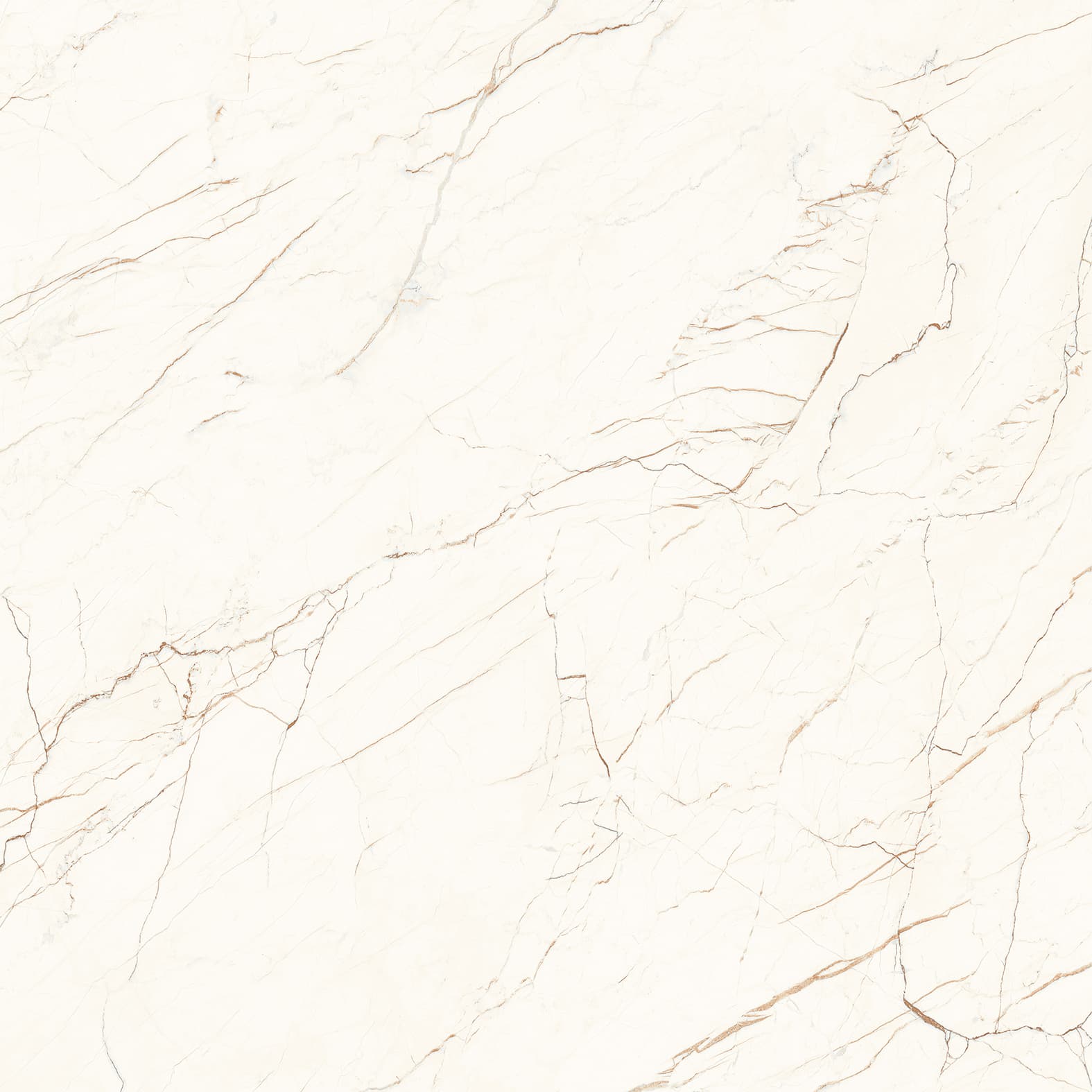 CEASAR — фото 9