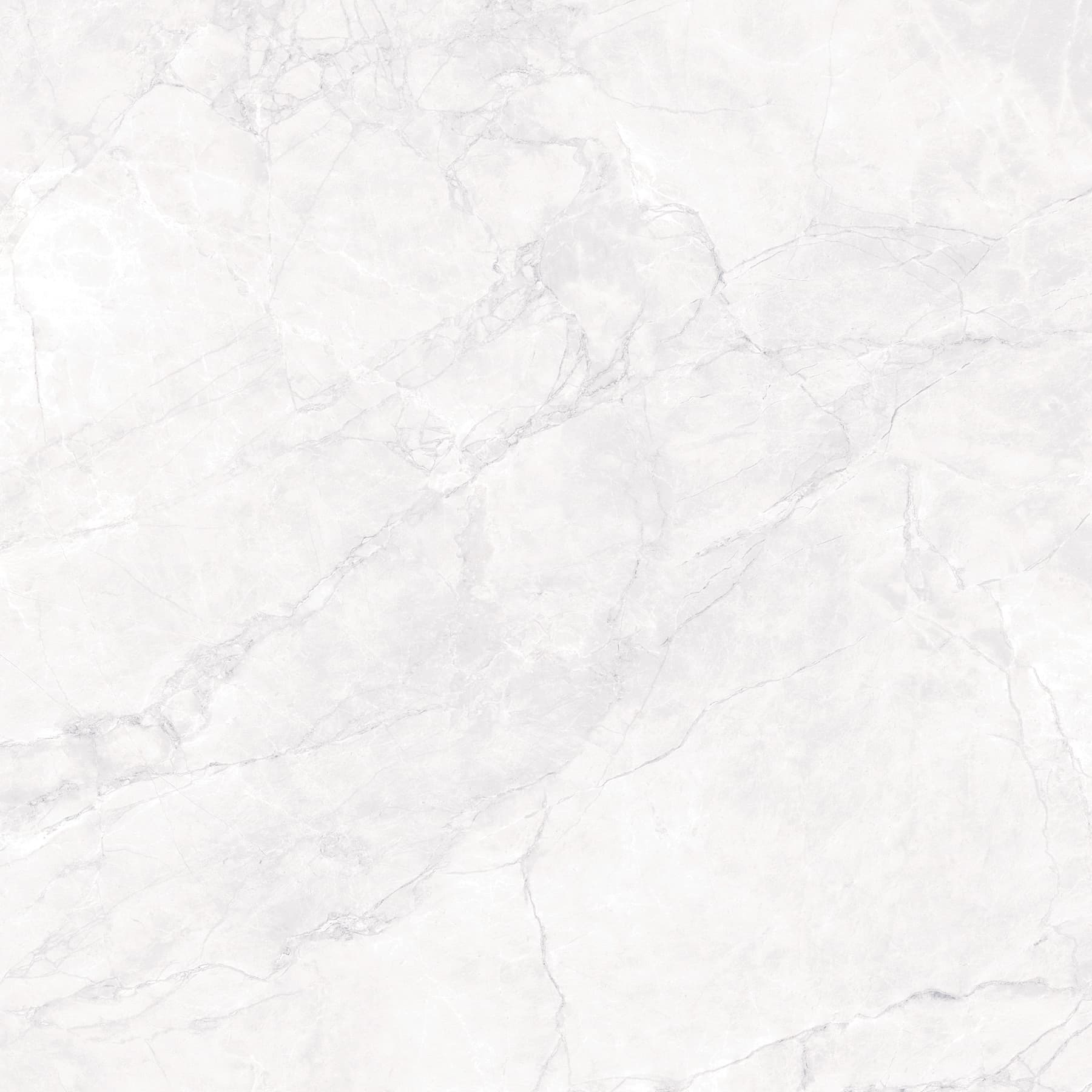 ARCTIC WHITE — фото 3