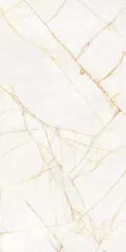 Керамогранит PF60017518 Supreme Hedonism Golden Spider Nat R 60x120