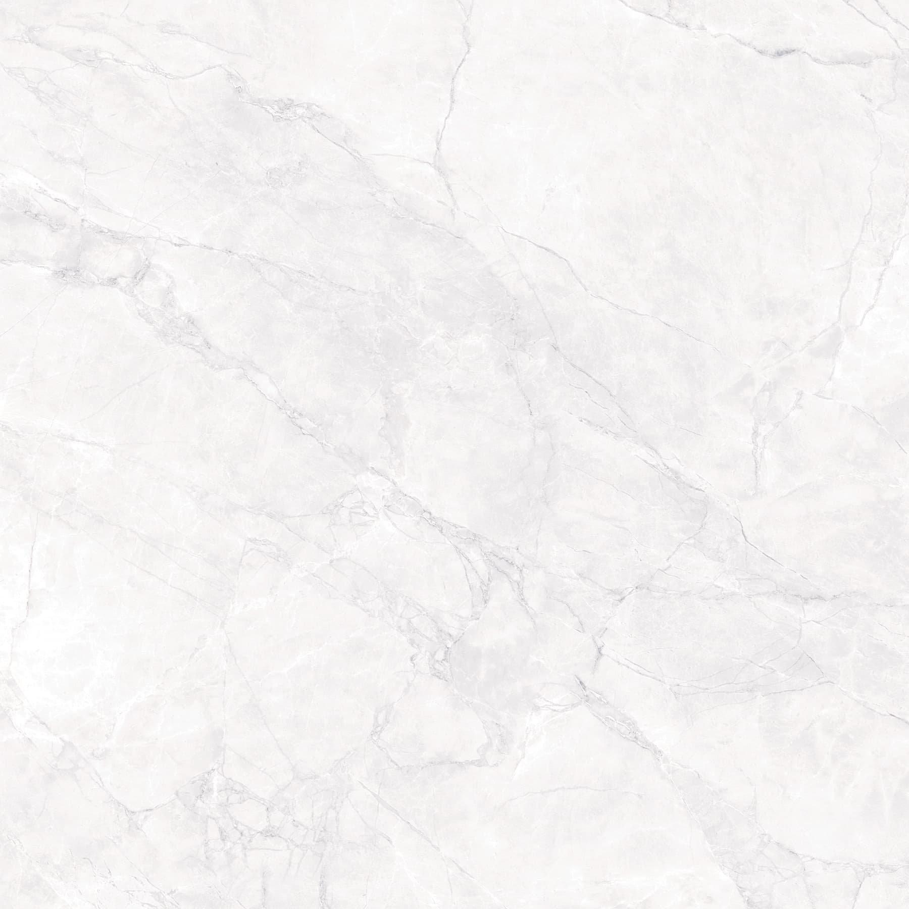 ARCTIC WHITE — фото 11