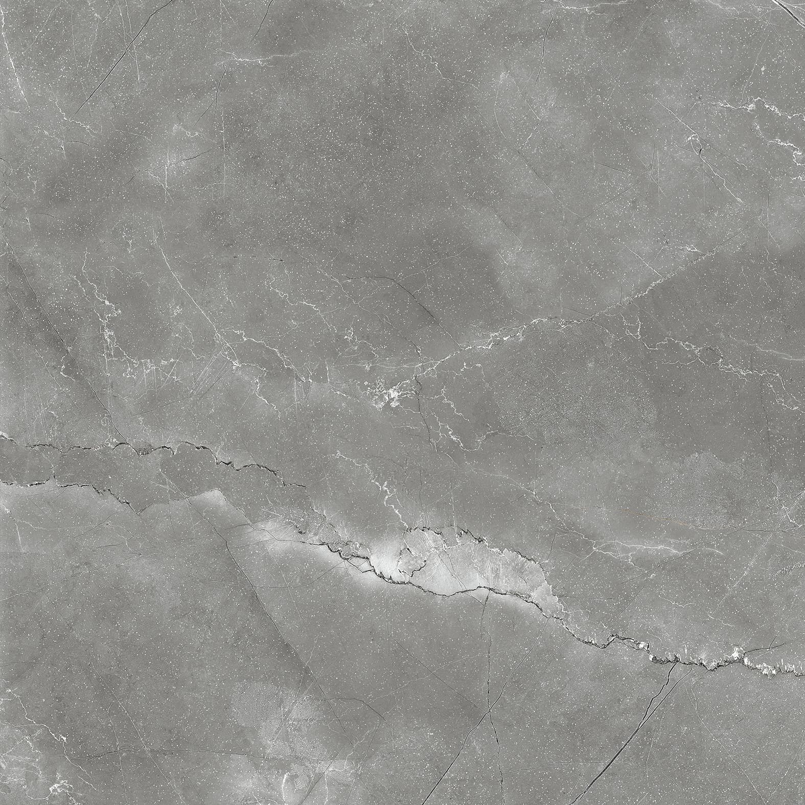 PULPIS NERO — фото 14