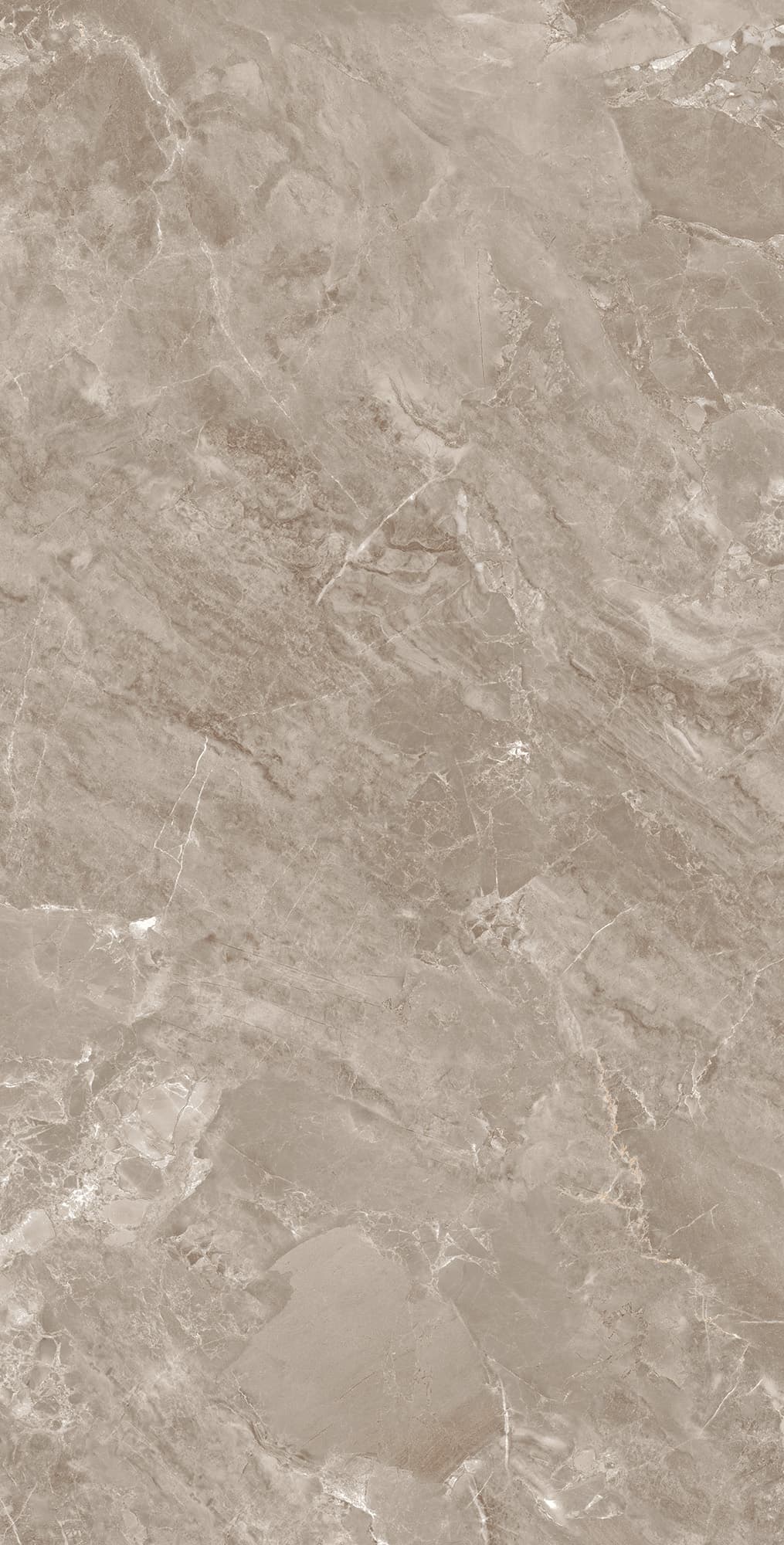 MODENA BROWN — фото 10